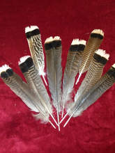 Load image into Gallery viewer, 15 Pcs Healing Crystal Set, Smudge Kit,Terminated Pencil Set,Meditation Kit