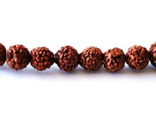 Load image into Gallery viewer, Large Long 108 8mm Rudraksha Bodhi Seeds Meditate Prayer Beads Mala Necklace 32&quot;