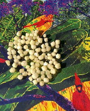 Load image into Gallery viewer, 10 LARGE POTENT RHODIZITE CRYSTALS! Great for Reiki, Meditation, Jewelry, Energy